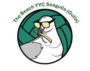 SeagullswebsiteSnip_Ar