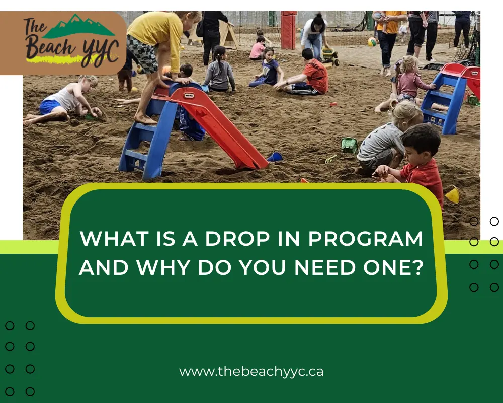 what is a drop in program